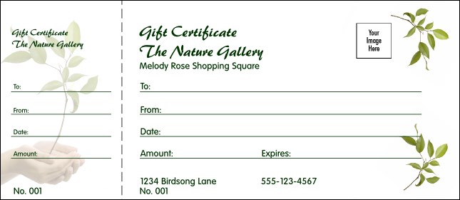 Sapling Gift Certificate Product Front
